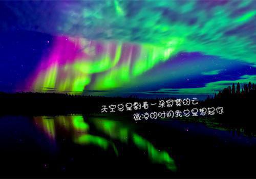 《招娣小说》无弹窗全文免费阅读