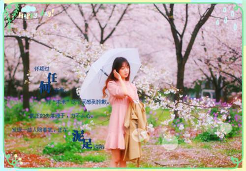 拯救沸羊羊计划顾怀林纯张旭最新章节在线阅读