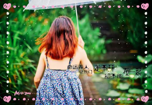 简鸢沈鹤免费小说 简鸢沈鹤全文阅读目录