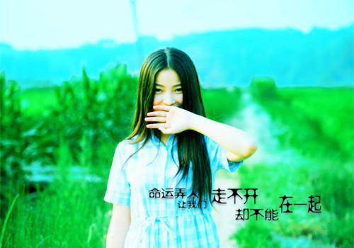 姐姐为救海豚，让我死在生日当天小说全集 程嘉言程嘉鱼最新章节阅读