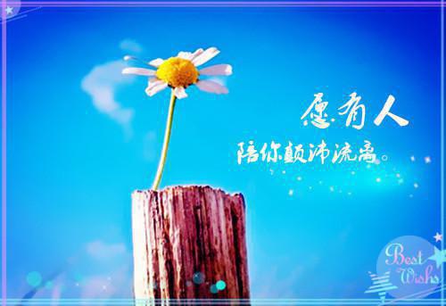 哥哥女友是宝宝娇妻全文目录 蕊蕊柳娇娇苏盛小说大结局阅读