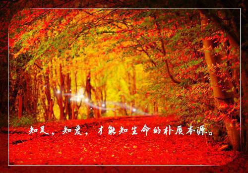 陆简宜陆北琛免费阅读无弹窗 陆简宜陆北琛最新章节