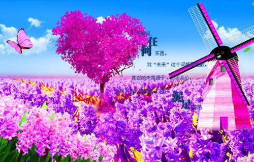 姜雨棠沈如诲小说免费 姜雨棠沈如诲第5章在线阅读