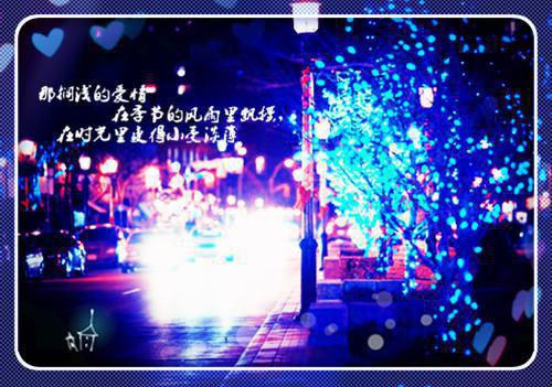 姜穗宁贺景文结局是什么 姜穗宁贺景文免费阅读全文