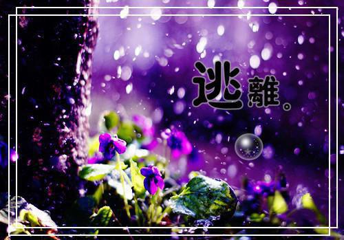 叶珊珊杜明宇全文免费阅读(城南三月小说)全文免费叶珊珊杜明宇读无弹窗大结局_ 城南三月小说叶珊珊杜明宇全文免费叶珊珊杜明宇读最新章节列表（城南三月小说）