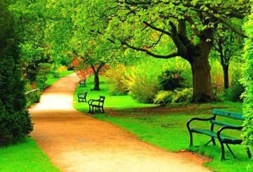 覆巢之下小说 时姝魏凡在线阅读