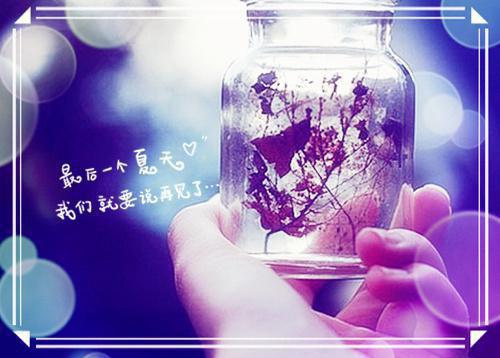 陆冶阮秋萩热门小说全文免费阅读无弹窗大结局-陆冶阮秋萩免费阅读大结局