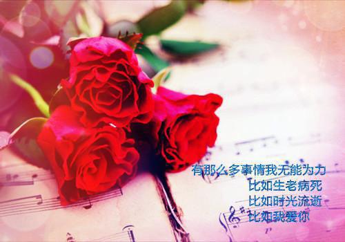 徐嘉傅函深全文免费阅读（青兰京城小说）全文免费徐嘉傅函深读无弹窗大结局_(徐嘉傅函深青兰京城小说免费徐嘉傅函深读全文大结局)最新章节列表（徐嘉傅函深）