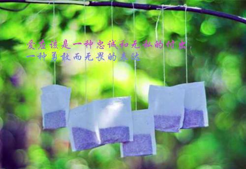 主角是方一的小说免费阅读全文大结局