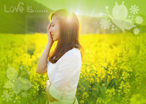 钪锵玫瑰在线免费阅读 姜念沈淮宋暖无删减小说