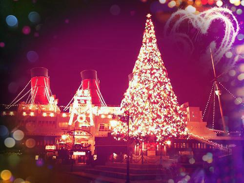 姜听听靳知川是啥小说 姜听听靳知川免费阅读无广告