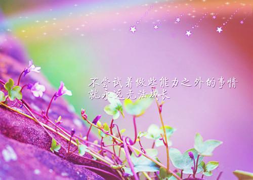 沈安安萧渊免费强嫁的皇子捂不热,重生她不要了：结局+番外读无弹窗最新章节列表(强嫁的皇子捂不热,重生她不要了：结局+番外)