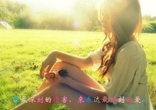 裴昭安蕊最后结局 裴昭安蕊完结版免费阅读