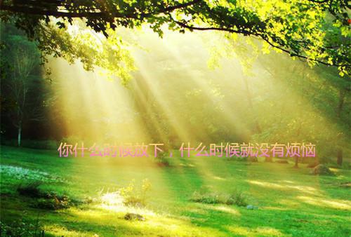 秦妄芙芙小说目录 秦妄芙芙完整免费版阅读