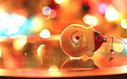 《拯救沸羊羊计划》最新章节无弹窗by森森完整版小说在线阅读