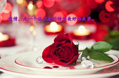 容妤沈戮(容妤沈戮)全文免费阅读无弹窗大结局_容妤沈戮免费阅读（容妤沈戮）