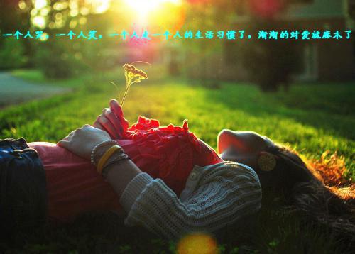 沐沐苏贺安夏文欣高寒峰是什么书 沐沐苏贺安夏文欣高寒峰免费章节在线阅读