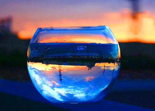 秦芫言商云白元瑶小说 秦芫言商云白元瑶完整版免费阅读