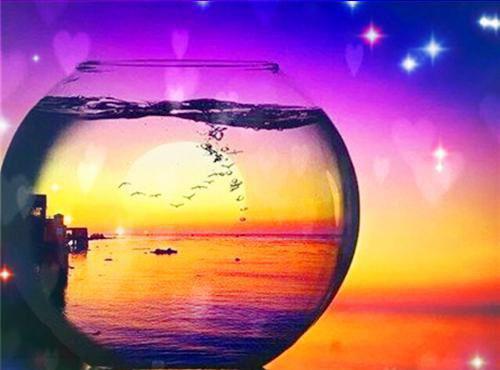 霍司寒池晚是啥小说 霍司寒池晚免费阅读无广告