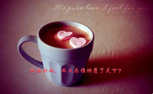 墨知曹莹莹杜若允的小说 墨知曹莹莹杜若允全文免费阅读