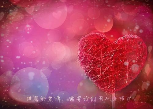 席忘袁媛小说全文免费阅读 席忘袁媛最新章节