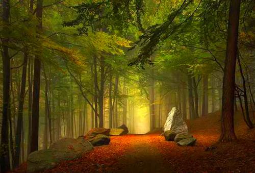 顾明烛陆星尘免费阅读无弹窗 顾明烛陆星尘最新章节