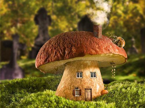 抖音热推纳兰瑾姜念（纳兰瑾姜念）免费小说-纳兰瑾姜念小说完整版阅读