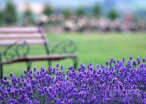 主角是陈泽黄城南的小说免费阅读全文大结局