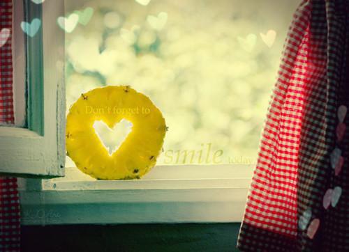 沈雨微温知砚什么小说 沈雨微温知砚全文免费阅读