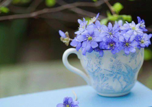 刑侦二队警事萧崇羽乔沁小说免费试读