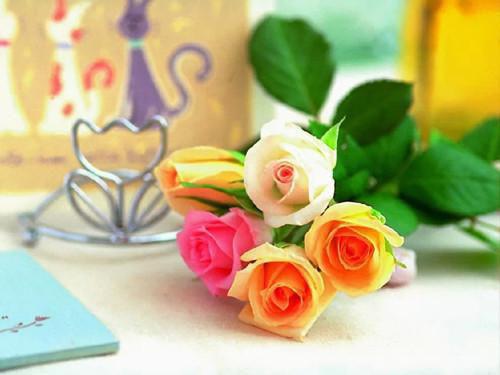 相思想念无相见全文在线阅读(凌霜纭沈霄玦)全文免费阅读无弹窗大结局_相思想念无相见全文在线阅读全文免费阅读(凌霜纭沈霄玦)