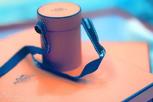 沈诗情江宸免费全文 沈诗情江宸小说在线阅读