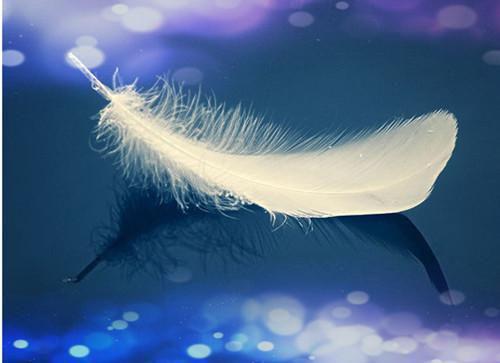 元清栎池宇舟林钰清免费小说 元清栎池宇舟林钰清全文阅读目录