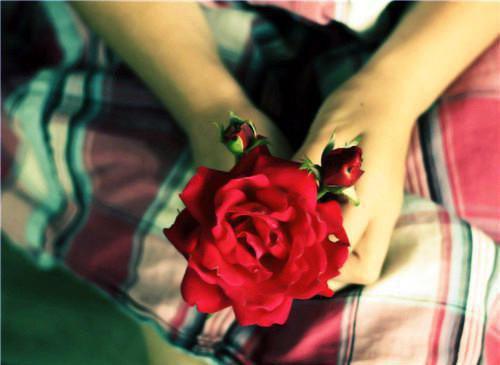 笨拙的，表达作文1000字