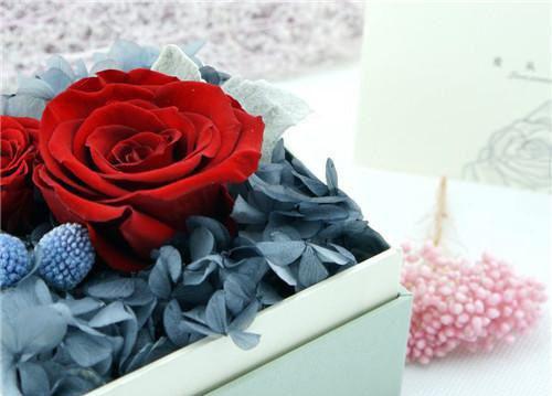 吴奚婉夏堇年小说章节免费阅读 吴奚婉夏堇年无弹窗