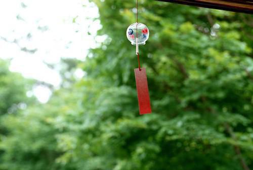 舒宜徐星尘免费小说 舒宜徐星尘全文阅读目录