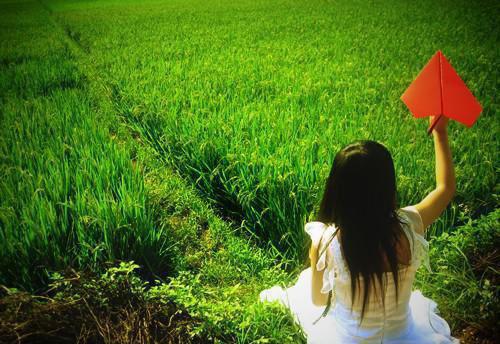 知竹贞玉贞敏哪里可以看 知竹贞玉贞敏免费阅读第5章