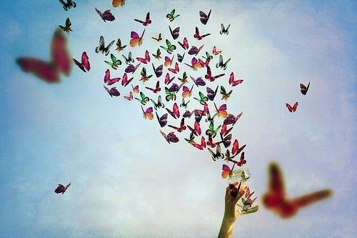 柳青青陆桓林颖全文免费阅读最新 柳青青陆桓林颖第1章