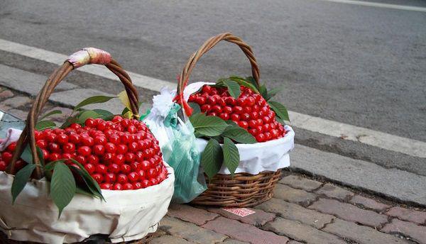 傅时琛柳茵茵顾安然完整版 傅时琛柳茵茵顾安然小说全文在线阅读