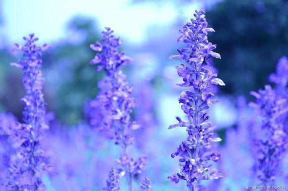 《林真真许橙沈清珩小说》无弹窗全文免费阅读