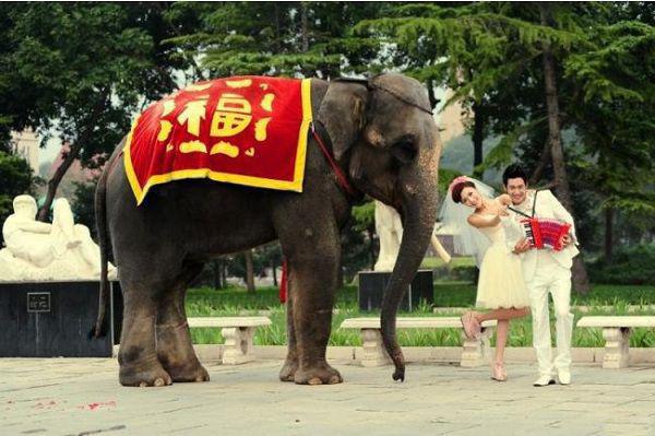 琼桑裴如衍是哪部小说的主角 琼桑裴如衍全文阅读