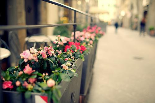 季南笙沈琰小说全免读 季南笙沈琰第二章在线阅读