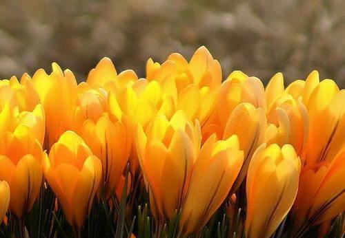 主角刘大根小说免费阅读最新章节