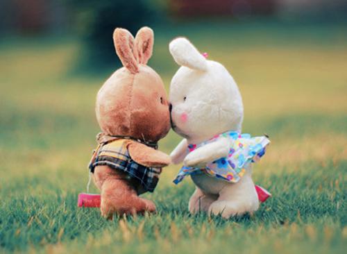 爱与宿命全文免费阅读（爱与宿命小说）全文在线江辞杨芸读无弹窗大结局_（江辞杨芸全文在线江辞杨芸读无弹窗）爱与宿命小说最新章节列表（江辞杨芸）