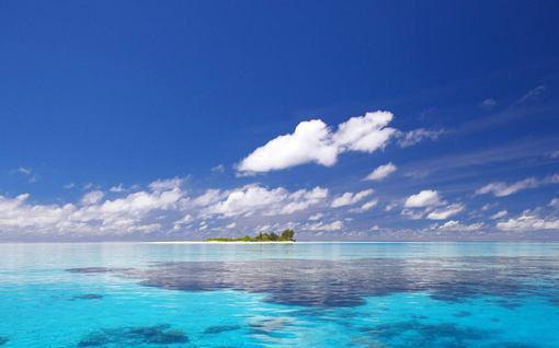 夏悦蒋城光大结局免费阅读 夏悦蒋城光全文小说