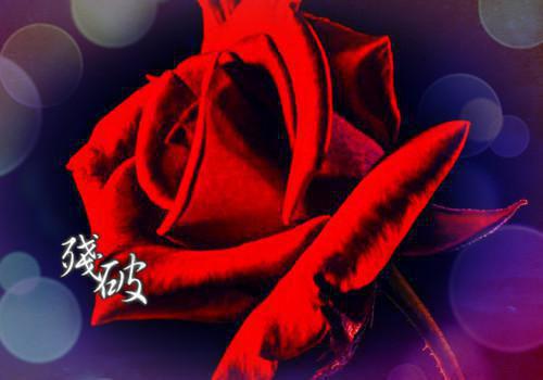 温柔懂事的乖巧女友,心里竟然藏着惊天秘密首发小说 林月娇周雨林泽在线阅读