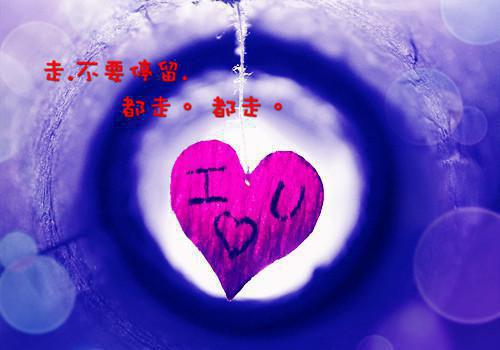 他来听她的演唱会免费章节抢先阅读