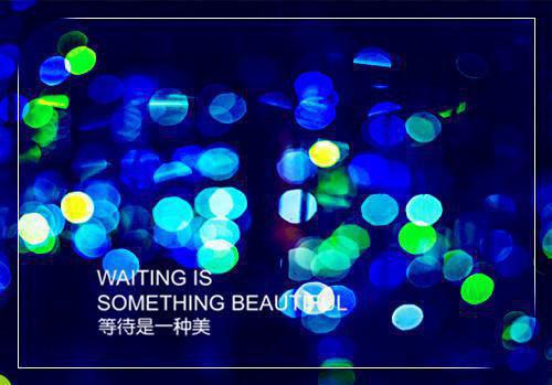 我死后，哥哥亲手解剖了我顾静顾宁顾安by等月亮