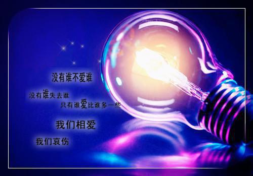 猫咪太后历险记(宋越宋凛)无弹窗阅读