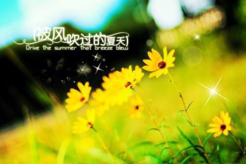 不就让她受个孕，你就闹离婚？小说季琛陈悦梁敏之已完结版全文章节阅读